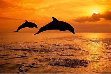 《战神》美术总监现已加盟网飞 开发原创3A游戏