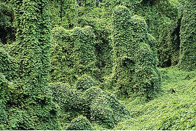 《棉花小魔女幻想乡》将于2023年1月6日登陆Steam